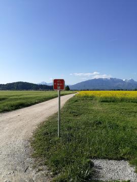 Mimo Grobeljskega drevoreda čez polje proti Mengšu